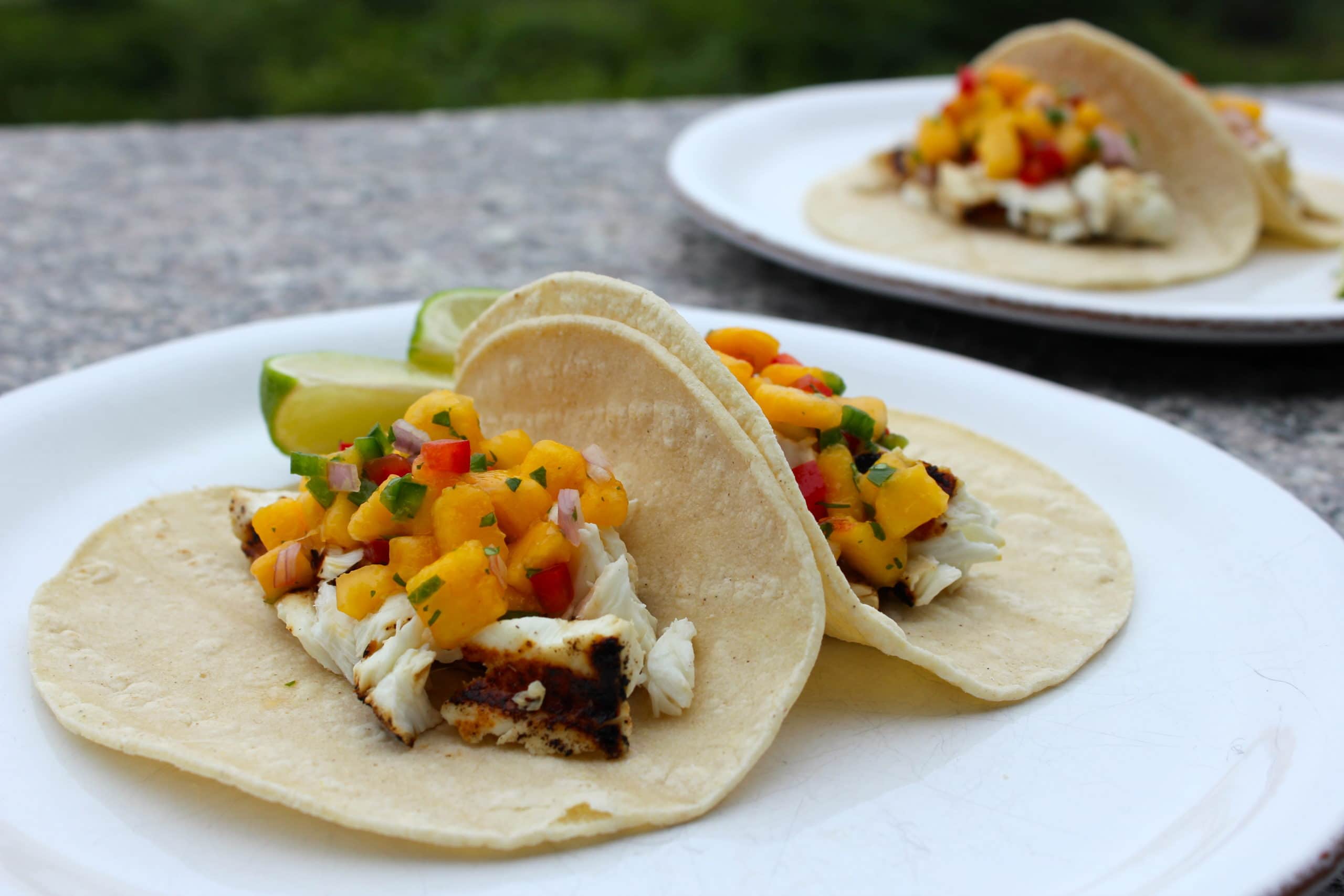 Grilled-Halibut-Tacos-with-peach-salsa-2