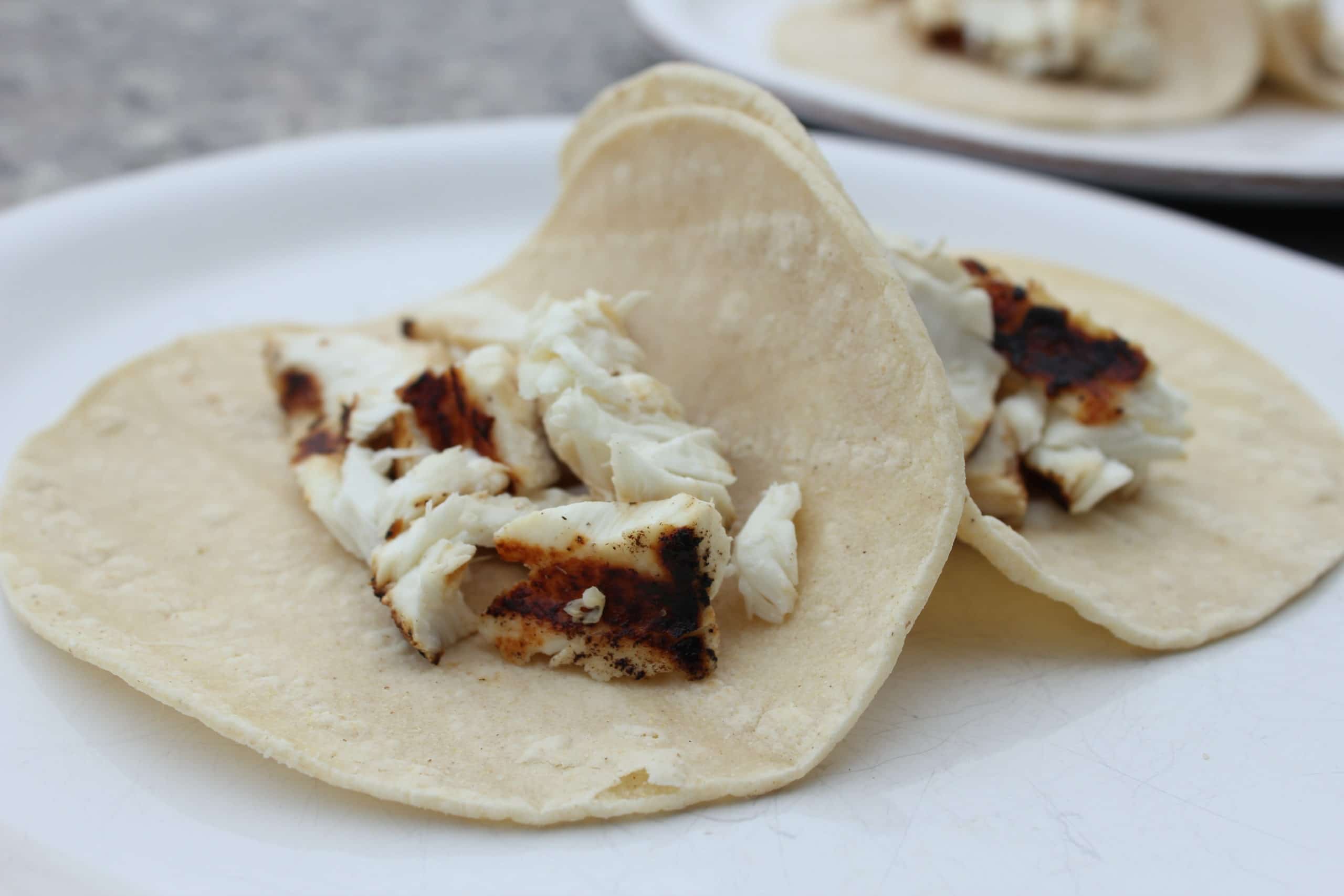 Grilled-halibut-fish-tacos