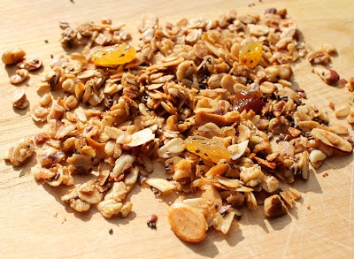 vegan-maple-cinnamon-granola-with-chia-seeds-3