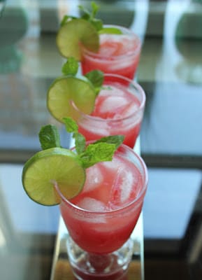sparkling-watermelon-punch-bowl-with-vodka-3