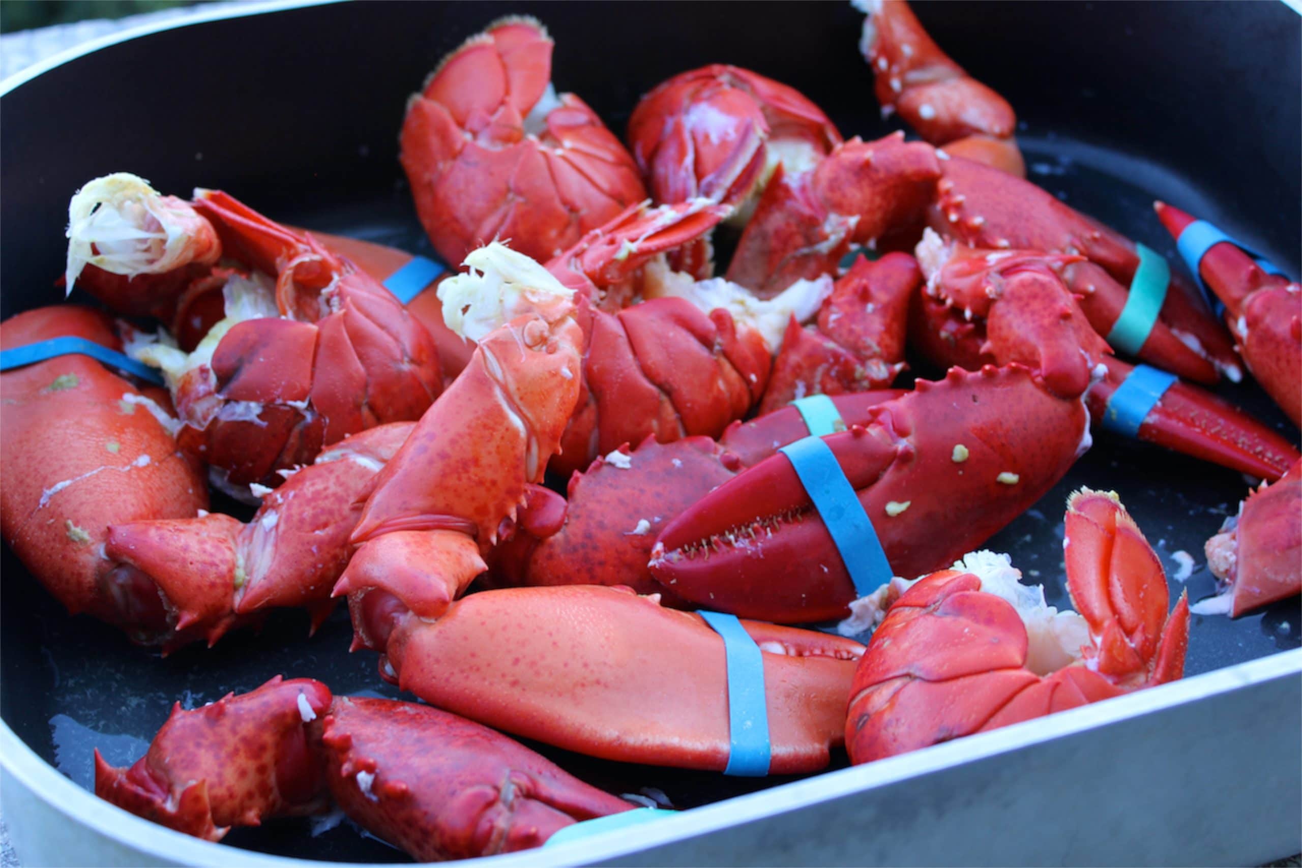 claws-and-tails-for-naked-lobster-rolls