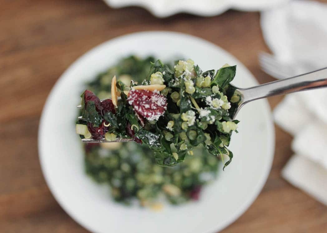 kale-salad-with-quinoa-cranberries-and-toasted-almonds-44