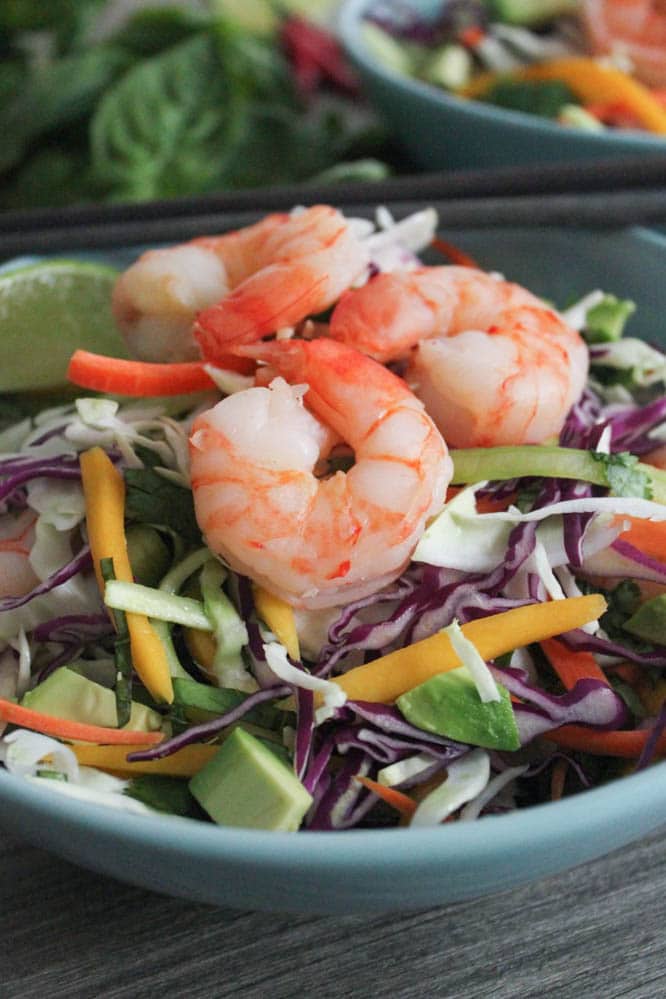 thai-summer-roll-salad-with-shrimp-and-mango-7