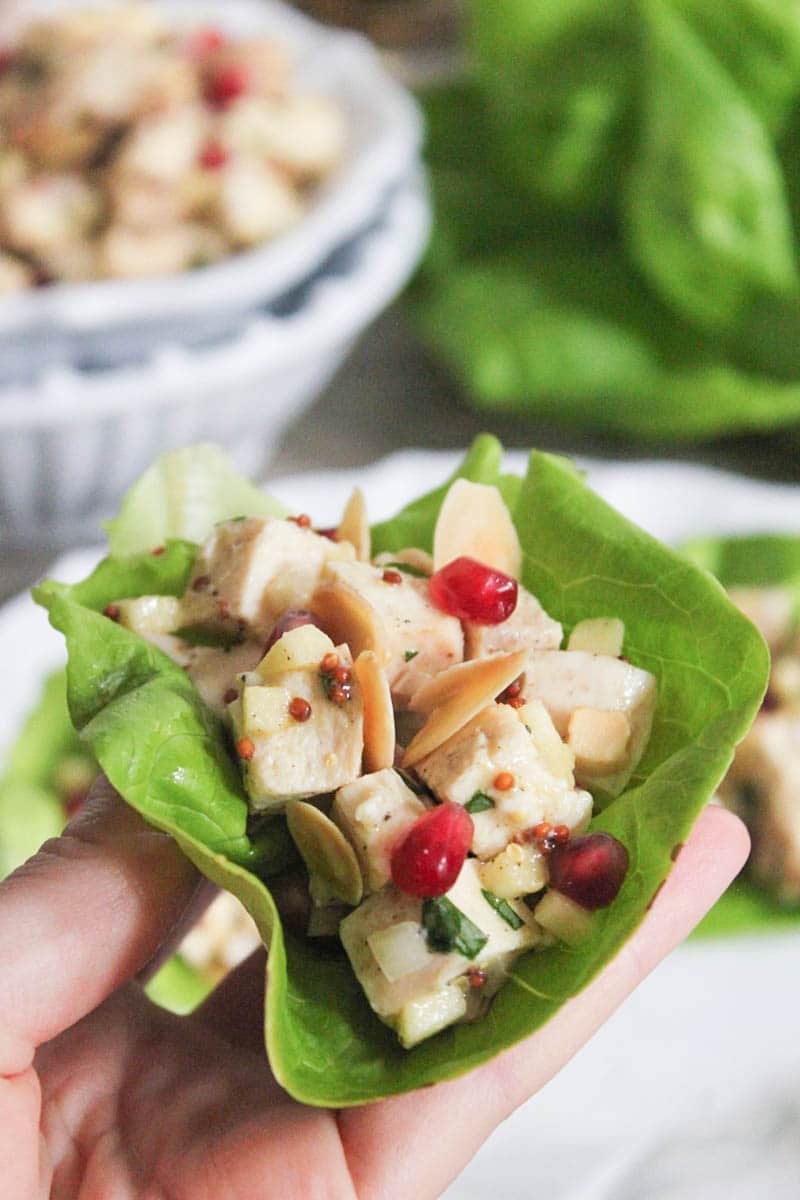 lemon-dijon-chicken-salad-with-pomegranate-apples-toasted-almonds-10