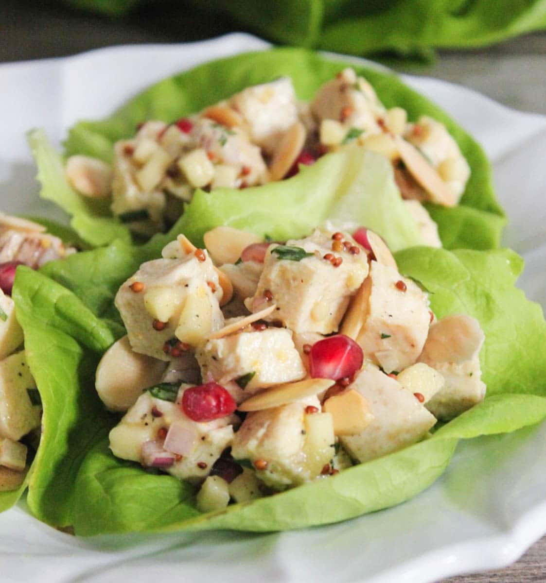 lemon-dijon-chicken-salad-with-pomegranate-apples-toasted-almonds-9