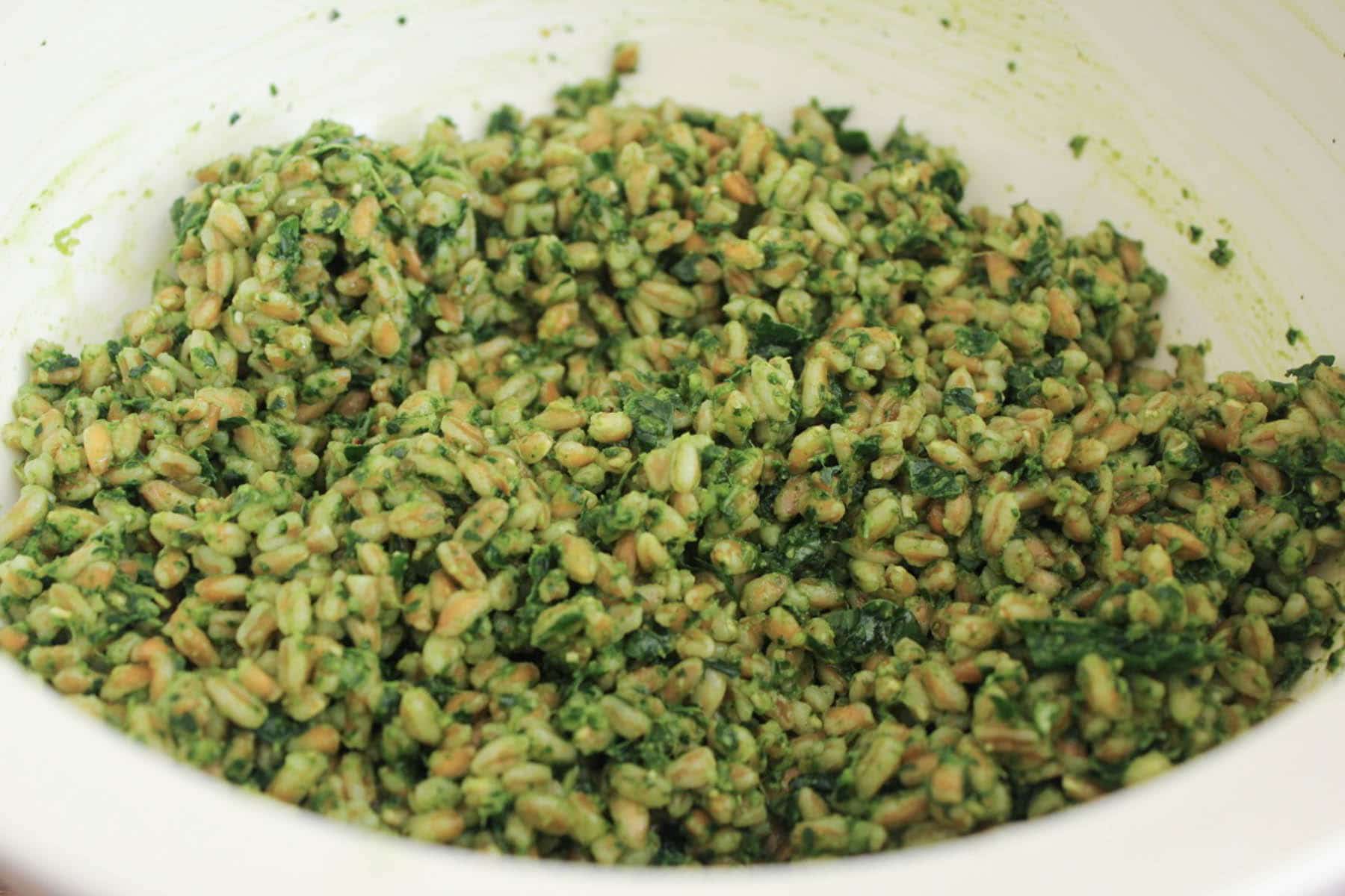 Farro-with-Kale-Pesto-Shaved-Zucchini-Parmesan-Marcona-Almonds-step-8