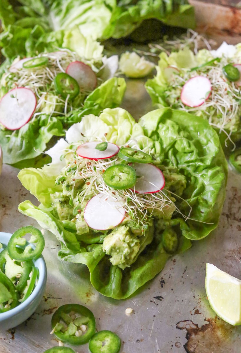 avocado-chicken-salad-lettuce-wraps-5