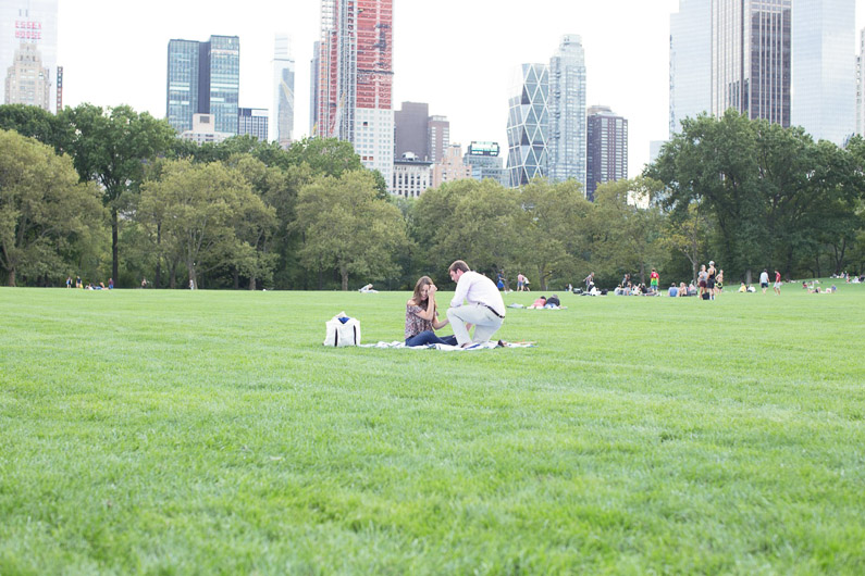 proposal-in-central-park