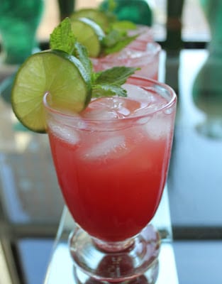 Sparkling Watermelon Punch Bowl - Domesticate ME