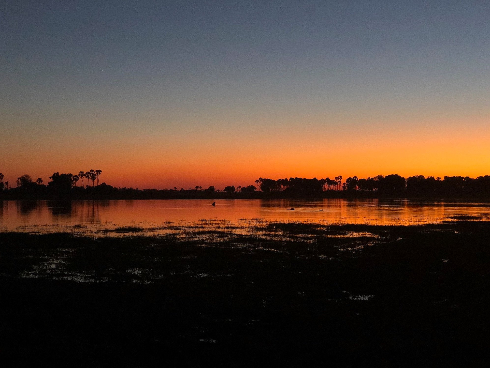 Safari Honeymoon- Sunset in the Okavango Delta
