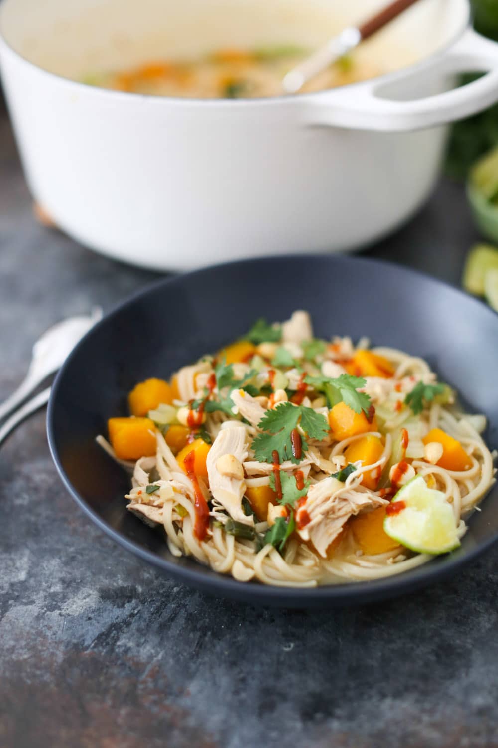 One-Pot Asian Noodles with Chicken, Butternut Squash and Baby Bok Choy